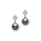 Classic Elegance Black South Sea Cultured Pearl And Diamond Earrings - 1