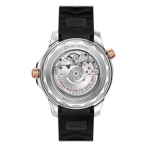 Diver 300M Co-Axial Master Chronometer 42mm Black Dial Watch - 2