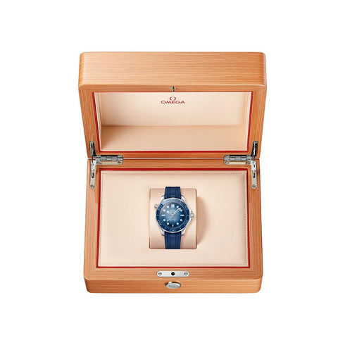 Seamaster Diver 300M Steel On Rubber Strap Watch - 4