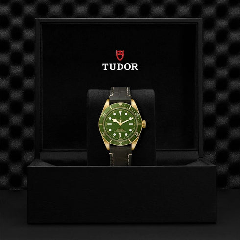 Black Bay 58 18K on Leather Strap - 2