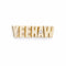 YEEHAW Texas Collection Single Stud Earring - 1