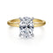 Cari 14K White-Yellow Gold Hidden Halo Oval Diamond Engagement Ring (Setting Only) - 1