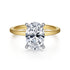Cari 14K White-Yellow Gold Hidden Halo Oval Diamond Engagement Ring (Setting Only) - 1