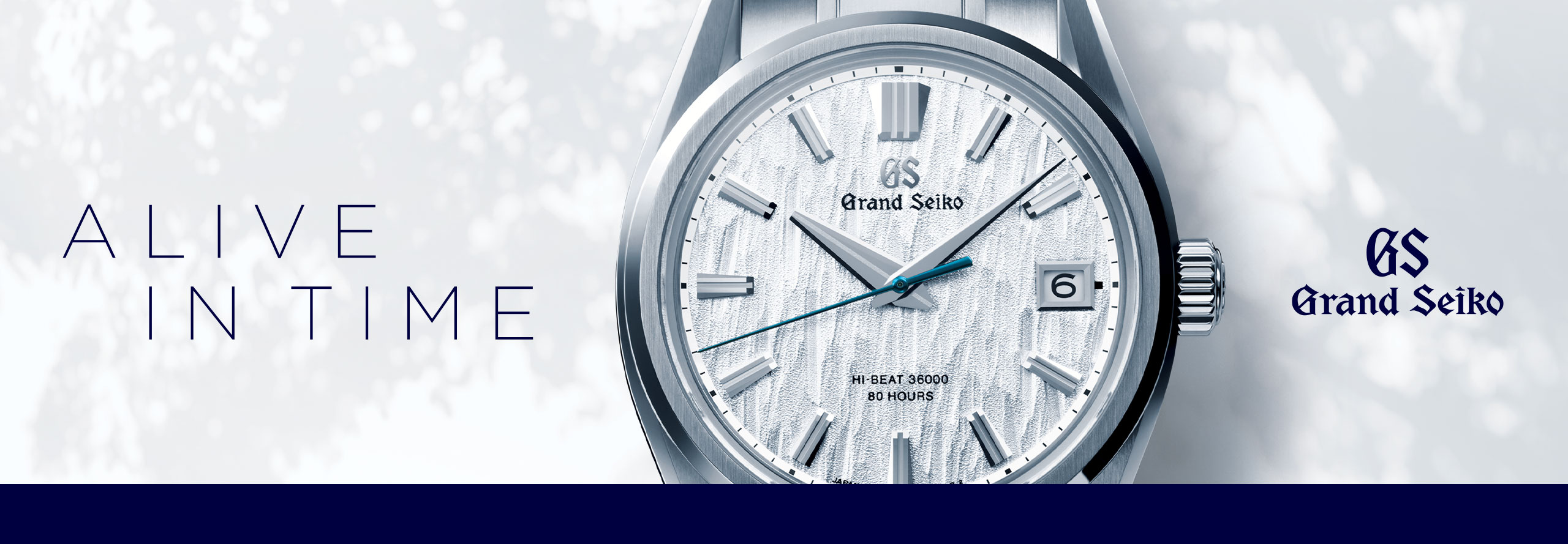 Grand Seiko Watches banner image