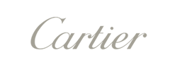 Customer Logo