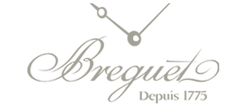 Customer Logo
