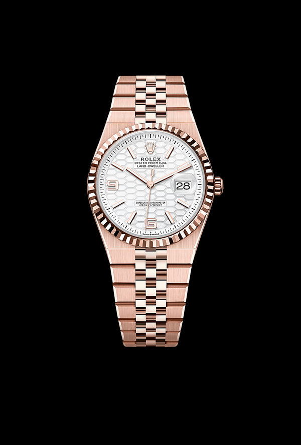 rolex Land-Dweller in 18 ct Everose gold, M127235-0001 - Zadok Jewelers