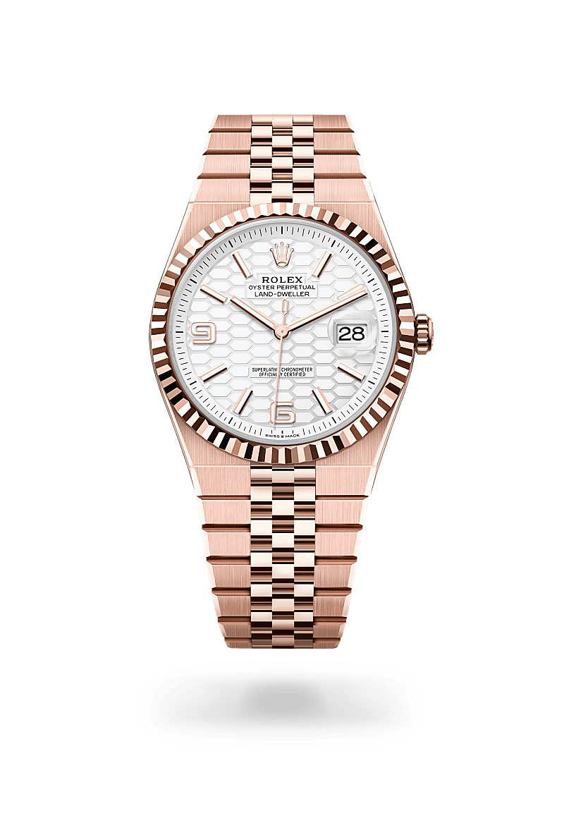 Rolex Land-Dweller 40 18 ct Everose gold, M127335-0001