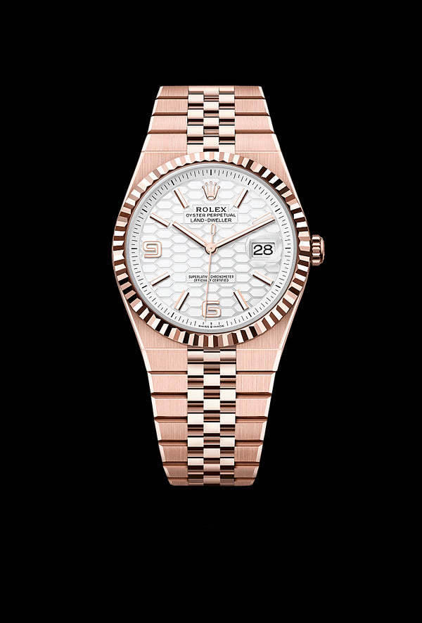 rolex Land-Dweller in 18 ct Everose gold, M127335-0001 - Zadok Jewelers