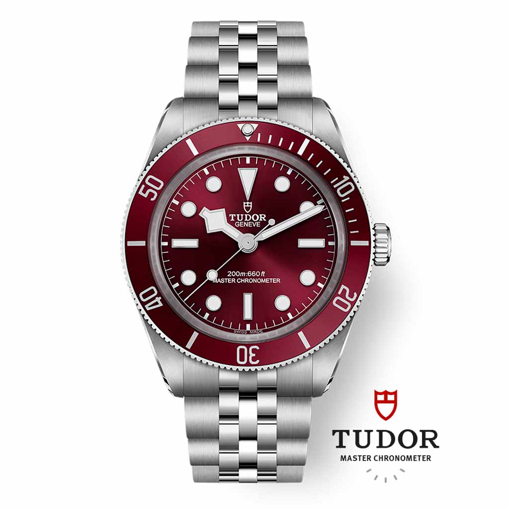 2025 TUDOR Novelties