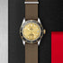Black Bay 41 Watch - 2