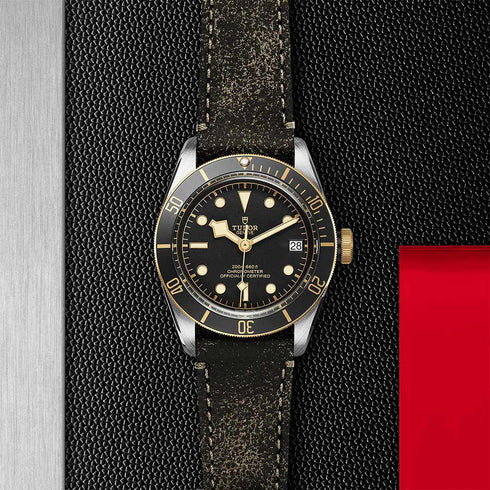 Black Bay 41 Watch - 2