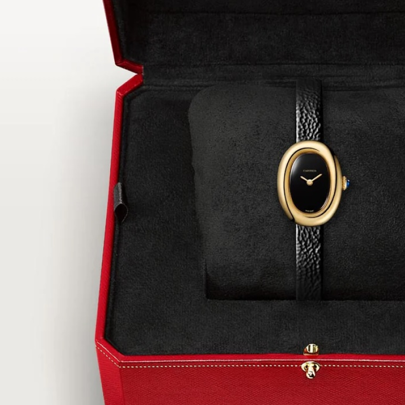 Spotlight on Cartier Baignoire: Everything You Should Know