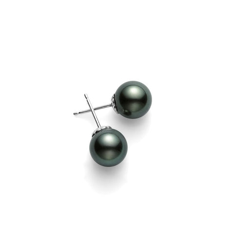 Black South Sea Stud Earrings in 18K White Gold - 1