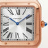Santos-Dumont Watch - 4