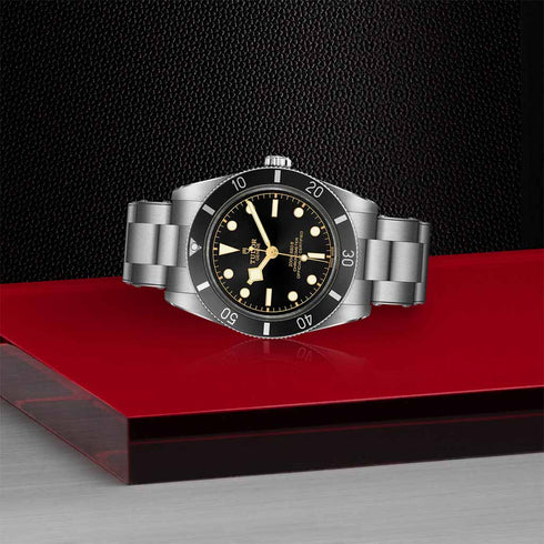 Black Bay 54 Watch - 6