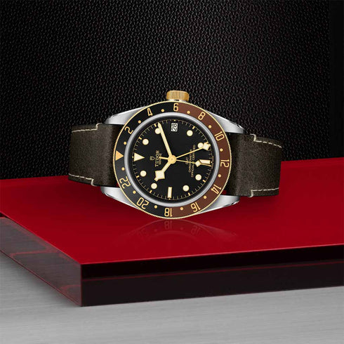 Black Bay GMT S&G 41 Watch - 3
