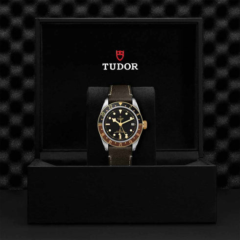 Black Bay GMT S&G 41 Watch - 4