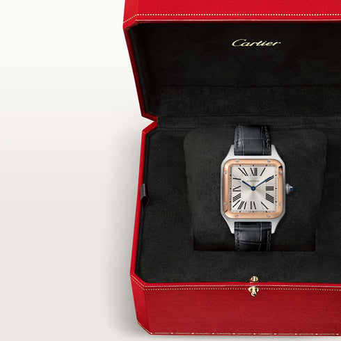 Santos-Dumont Watch - 10