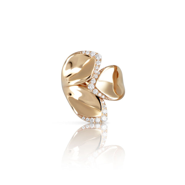 Giardini Segreti Ring - 1