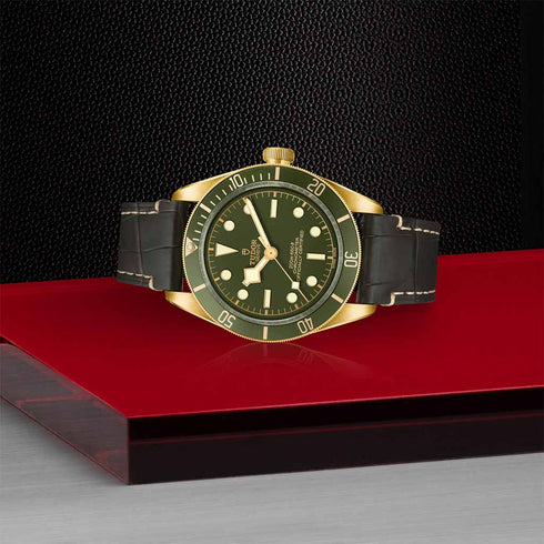 Black Bay 58 18K on Leather Strap - 4