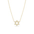 14k Small Diamond Bezel Star of David Necklace - 1