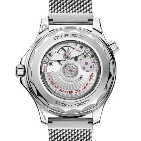 Seamaster Diver 300M - 3
