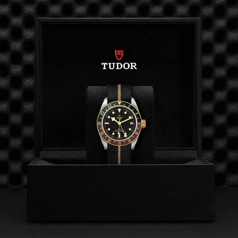 Black Bay GMT 41 Watch - 5