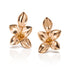 Giardini Segreti Earrings - 2