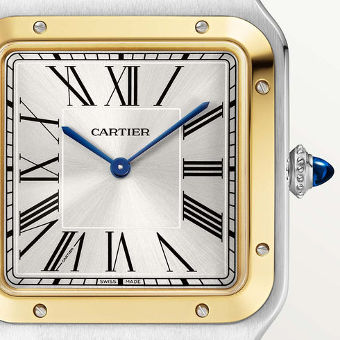 Santos-Dumont Watch - 3