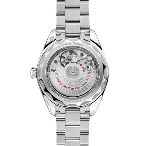 Seamaster Aqua Terra 150M - 4