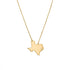 Texas Diamond Pendant Necklace Large - 1