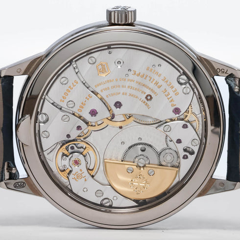 Complications Annual Calendar Watch - 2