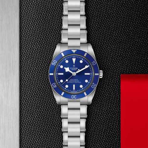 Black Bay 54 Watch - 2