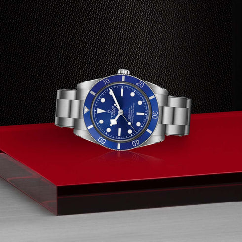 Black Bay 54 Watch - 3