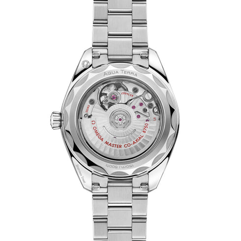 Seamaster Aqua Terra 150M - 2