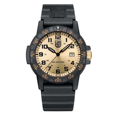 Leatherback Sea Turtle Giant Outdoor Watch - 1