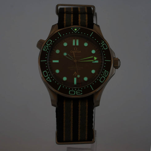 Seamaster Diver 300M '007 Edition' Watch - 2