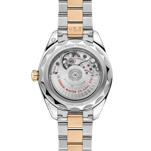 Seamaster Aqua Terra 150M - 3