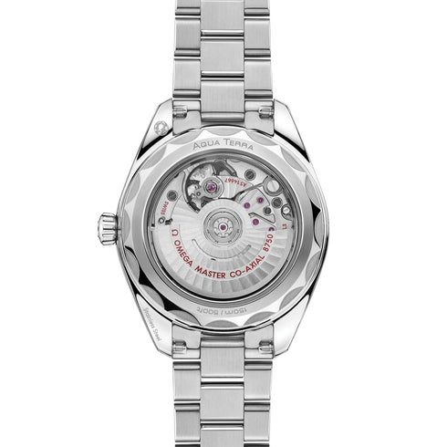 Seamaster Aqua Terra 150M - 2