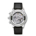 Portugieser Chronograph Watch IW371606 - 2