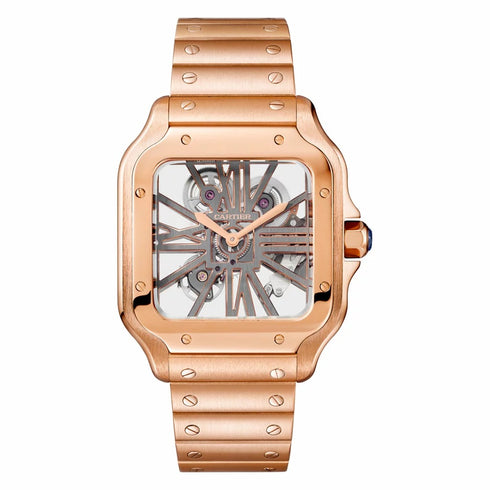 Santos de Cartier skeleton Watch - 1