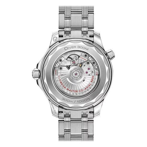 Diver 300M Co-Axial Master Chronometer 42mm Watch - 2