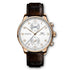 Portugieser Chronograph Watch IW371611 - 1