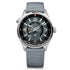 Polaris Geographic Watch - 5