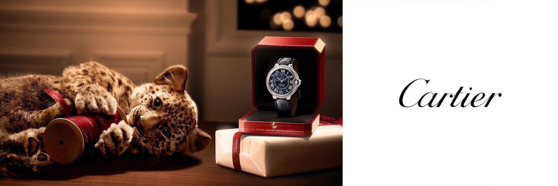 Cartier Watches banner image