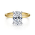 Cari 14K White-Yellow Gold Hidden Halo Oval Diamond Engagement Ring (Setting Only) - 1