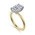 Cari 14K White-Yellow Gold Hidden Halo Oval Diamond Engagement Ring (Setting Only) - 3