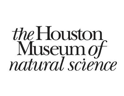 Slide 7