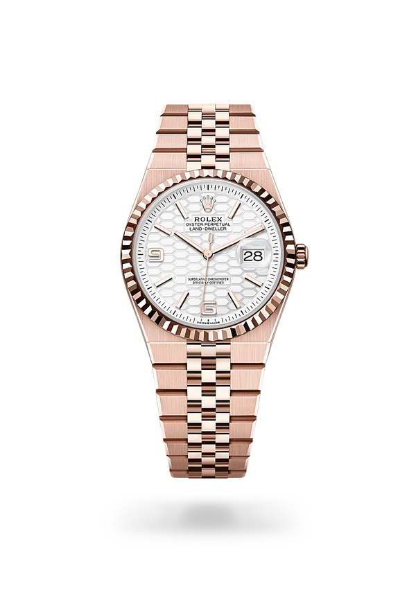 rolex Land-Dweller in 18 ct Everose gold, M127235-0001 - Zadok Jewelers